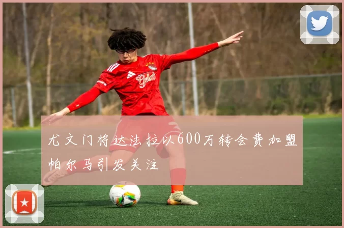 尤文门将达法拉以600万转会费加盟帕尔马引发关注
