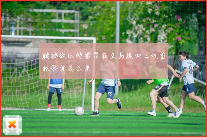 鹈鹕欲以特雷墨菲交易换回三枚首轮签你怎么看